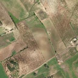 Satellite imagery of survey_point, DZ