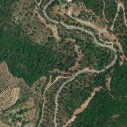 Satellite imagery of survey_point, DZ