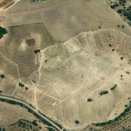 Satellite imagery of survey_point, DZ