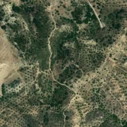 Satellite imagery of survey_point, DZ