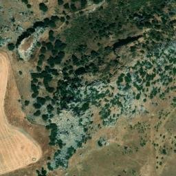 Satellite imagery of survey_point, DZ