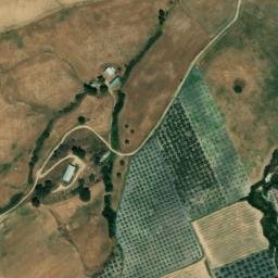 Satellite imagery of survey_point, DZ