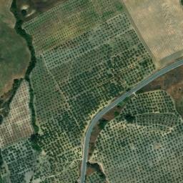 Satellite imagery of survey_point, DZ