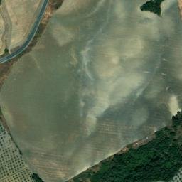 Satellite imagery of survey_point, DZ