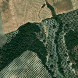 Satellite imagery of survey_point, DZ