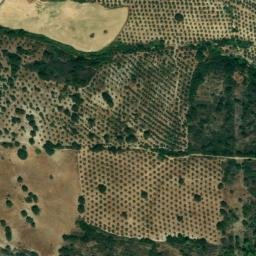 Satellite imagery of survey_point, DZ
