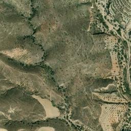 Satellite imagery of survey_point, DZ