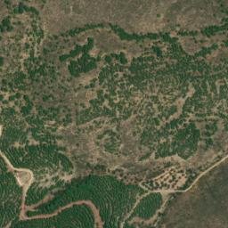 Satellite imagery of survey_point, DZ