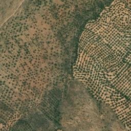 Satellite imagery of survey_point, DZ