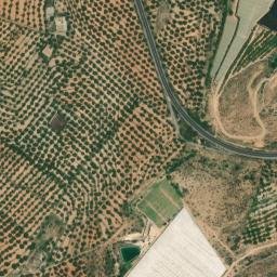 Satellite imagery of survey_point, DZ