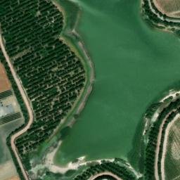 Satellite imagery of survey_point, DZ
