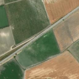 Satellite imagery of survey_point, DZ