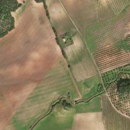 Satellite imagery of survey_point, DZ