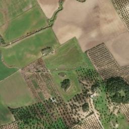 Satellite imagery of survey_point, DZ