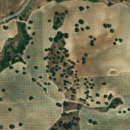 Satellite imagery of survey_point, DZ