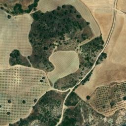 Satellite imagery of survey_point, DZ