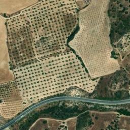 Satellite imagery of survey_point, DZ
