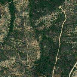 Satellite imagery of survey_point, DZ