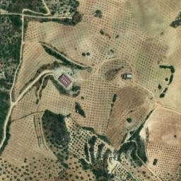 Satellite imagery of survey_point, DZ