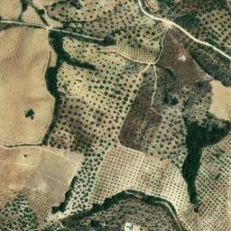Satellite imagery of survey_point, DZ