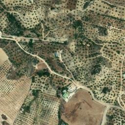 Satellite imagery of survey_point, DZ
