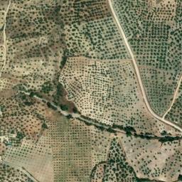 Satellite imagery of survey_point, DZ
