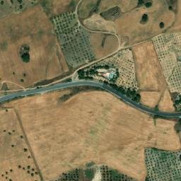 Satellite imagery of survey_point, DZ