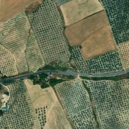 Satellite imagery of survey_point, DZ