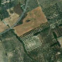 Satellite imagery of survey_point, DZ