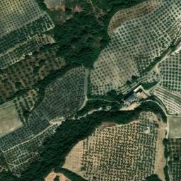 Satellite imagery of survey_point, DZ