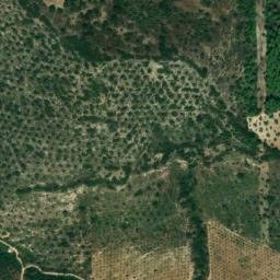 Satellite imagery of survey_point, DZ