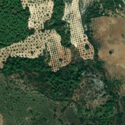 Satellite imagery of survey_point, DZ