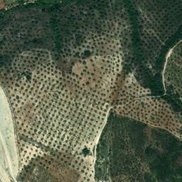 Satellite imagery of survey_point, DZ