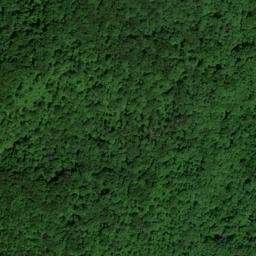 Satellite imagery of Hewling Ridge, US