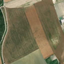 Satellite imagery of survey_point, DZ