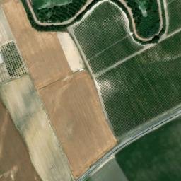 Satellite imagery of survey_point, DZ