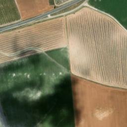 Satellite imagery of survey_point, DZ
