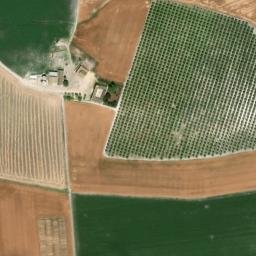Satellite imagery of survey_point, DZ