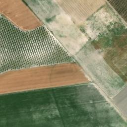 Satellite imagery of survey_point, DZ