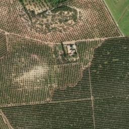Satellite imagery of survey_point, DZ