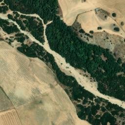 Satellite imagery of survey_point, DZ