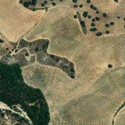 Satellite imagery of survey_point, DZ