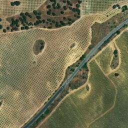 Satellite imagery of survey_point, DZ