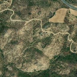 Satellite imagery of survey_point, DZ