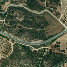 Satellite imagery of survey_point, DZ