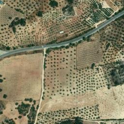 Satellite imagery of survey_point, DZ