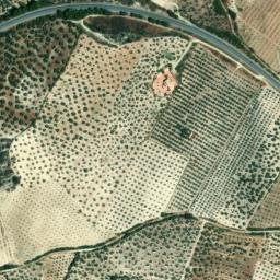 Satellite imagery of survey_point, DZ