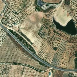 Satellite imagery of survey_point, DZ