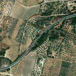 Satellite imagery of survey_point, DZ
