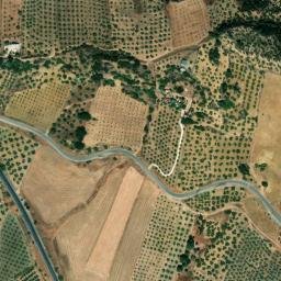Satellite imagery of survey_point, DZ